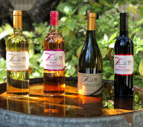 DOMAINE DE FENOUILLET - Vins DOMAINE DE FENOUILLET - Vins