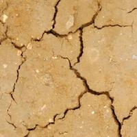 Sécheresse : Biocoop soutient les producteurs Sécheresse : Biocoop soutient les producteurs