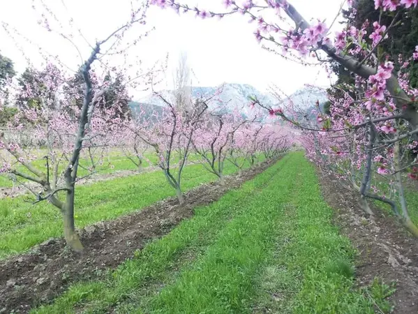 LES JARDINS DE GAÏA