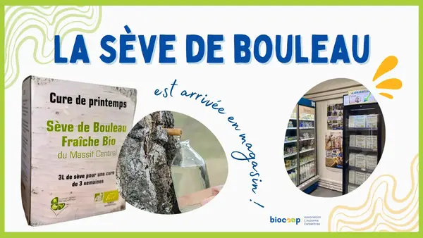 La sève de bouleau est arrivée en magasin !